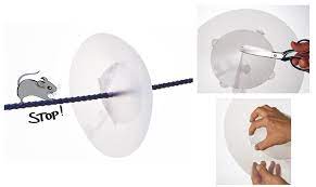 Rat Guard Clear Plastic Disc 350mm