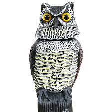 Bird Scarer Owl