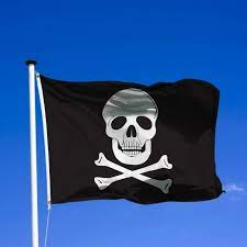Jolly Roger Curtesy Flag 30x45