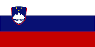 Flag Slovenia 30x45cm