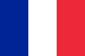 Flag France 20x30cm