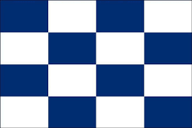 Flag Letter N Code 30x40cm