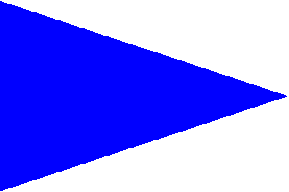 Flag Beach Warning Blue 75x150cm