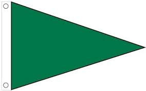 Flag Beach Warning Green 150x255cm