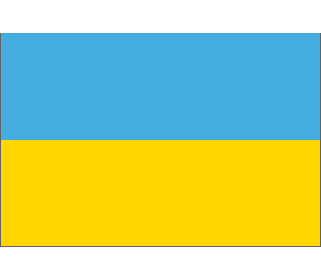 Flag Ukraine 40 x 60 cm