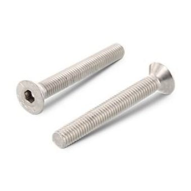 Screw Sst Csk Allen Head 6x50