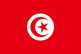 Flag Tunisia 30x20cm