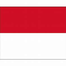 Flag Monaco 50x75 cm